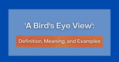 a bird eye view idiom sentence|‘A Bird's Eye View’: Definition, Meaning, and Examples.